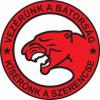 A frontról a Balatonra: így éltek a Puma vadászpilóták Balatonalmádiban 1944-ben